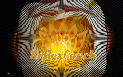 Lancement du site ReflexCoach.fr